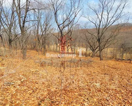 Участок в Приморский край, Находка Коммунальник СНТ, ул. Перевальная ...