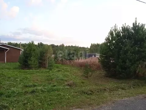 Участок в Тюменская область, Нижнетавдинский муниципальный округ, ...