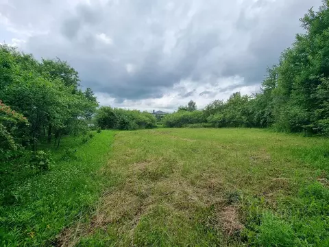 Участок в Владимирская область, Суздальский район, Новоалександровское ...