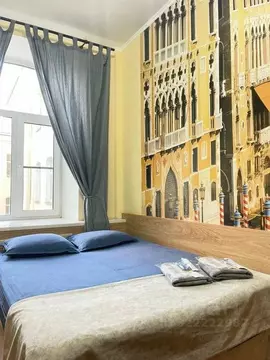 1-к кв. Санкт-Петербург Пушкинская ул., 9 (15.0 м)