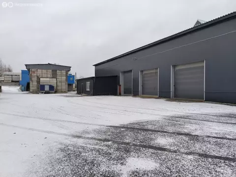 Производственное помещение (997.3 м)