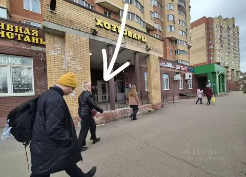 Помещение свободного назначения в Московская область, Щелково ул. ...