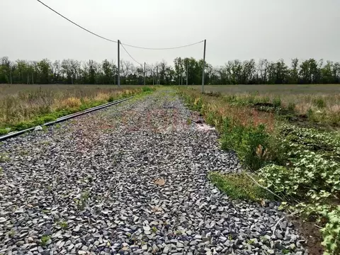 Участок в Ростовская область, Аксайский район, Щепкинское с/пос, пос. ...