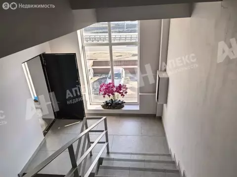 Помещение свободного назначения (12 м)