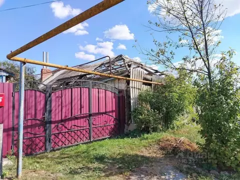 Участок в Белгородская область, Поселок Чернянка городское поселение, ...