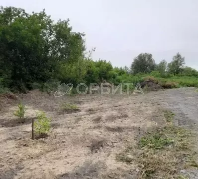 Участок в Тюменская область, Нижнетавдинский муниципальный округ, ...