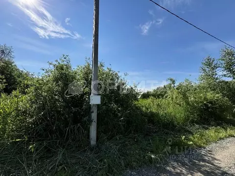 Участок в Тюменская область, Нижнетавдинский муниципальный округ, ...