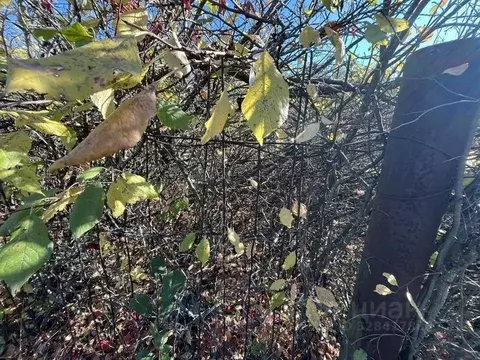 Участок в Воронежская область, Семилукский район, Стрелица рп, Горняк ...