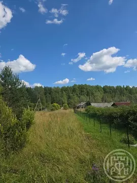 Участок в Ленинградская область, Приозерский район, Севастьяновское ...