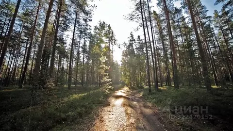 Участок в Ленинградская область, Выборгский район, Приморское ...