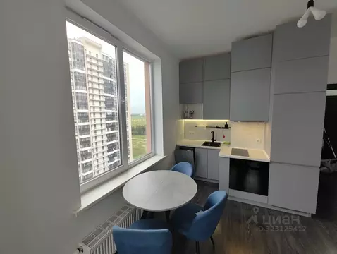 1-к кв. Санкт-Петербург аллея Арцеуловская, 19 (32.8 м)