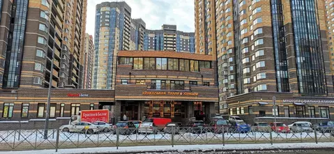 Студия Санкт-Петербург пос. Парголово, Заречная ул., 46к1 (24.0 м)