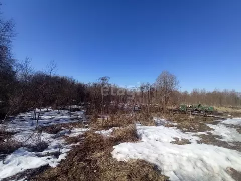 Участок в Псковская область, Остров ул. Энтузиастов, 35 (12.0 сот.)