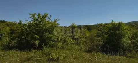 Участок в Крым, Кировский район, Старый Крым городское поселение ул. ...
