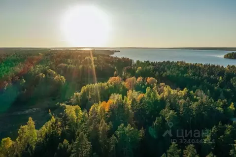 Участок в Ленинградская область, Приозерский район, Громовское с/пос, ...