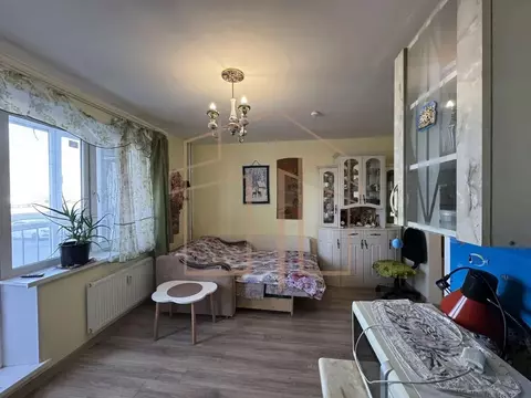 Студия Тюменская область, Тюмень ул. Новоселов, 117 (24.0 м)