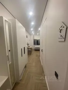 Студия Москва Нагатинская наб., 10А (21.0 м)