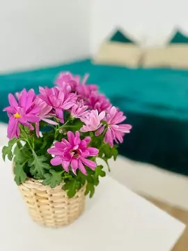 1-к кв. Новгородская область, Великий Новгород Завокзальная ул., 7 ...