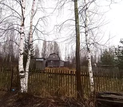 Участок в Вологодская область, Череповецкий район, Тоншаловское с/пос, ...