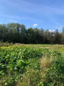 Участок в Тверская область, Вышневолоцкий муниципальный округ, д. ...