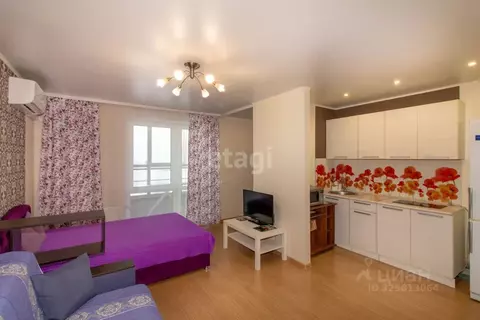 Студия Тюменская область, Тюмень ул. Ю.-Р.Г. Эрвье, 30к4 (30.7 м)