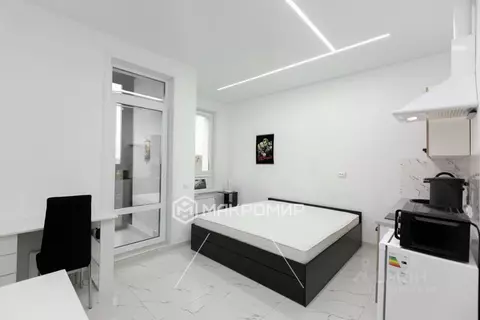 Студия Архангельская область, Архангельск Советская ул., 2 (23.2 м)