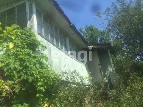 Дом в Пермский край, с. Янычи, Кама СНТ 38 (15 м)