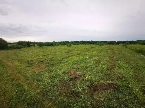 Участок в Ленинградская область, Ломоносовский район, Кипенское с/пос, ...