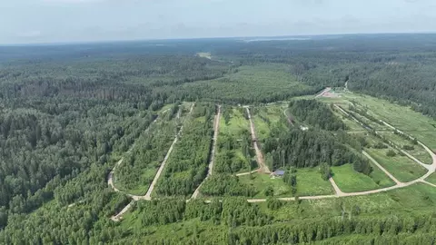 Участок в Ленинградская область, Приозерский район, Раздольевское ...