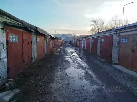 Гараж в Тюменская область, Тюмень Ставропольская ул., 109с1 (19 м)