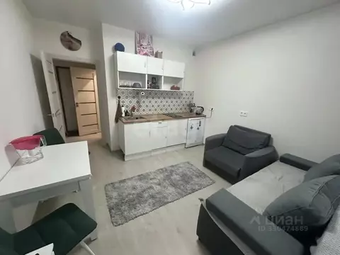 Студия Санкт-Петербург наб. Реки Каменки, 3к3 (19.0 м)