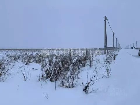 Участок в Тюменская область, Тюменский муниципальный округ, д. Елань ...