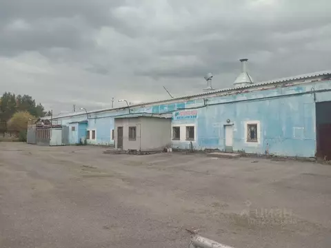 Помещение свободного назначения в Свердловская область, Краснотурьинск ...