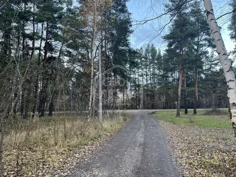 Участок в Рязанская область, Рязанский муниципальный округ, пос. ...