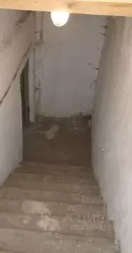 Помещение свободного назначения в Новосибирская область, Новосибирск ...