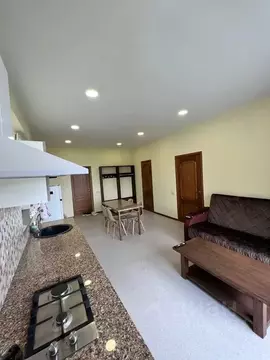 1-к кв. Ставропольский край, Кисловодск Подгорная ул., 15 (50.0 м)