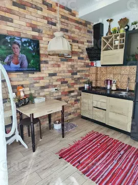 Студия Краснодарский край, Сочи ул. Яна Фабрициуса, 12/18 (20.8 м)