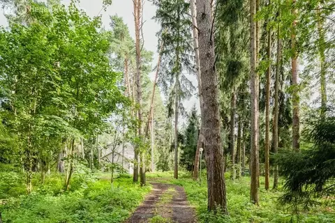 Участок в Одинцовский городской округ, посёлок Николина Гора (15 м)