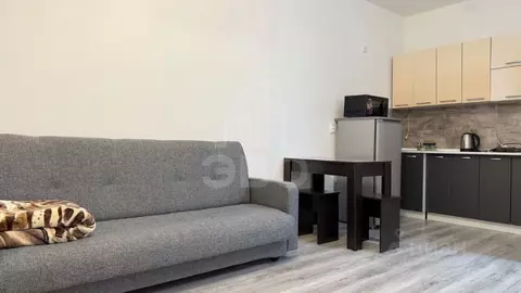 1-к кв. Ленинградская область, Всеволожский район, Свердловское ...