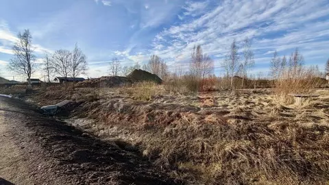 Участок в Ленинградская область, Ломоносовский район, Пениковское ...