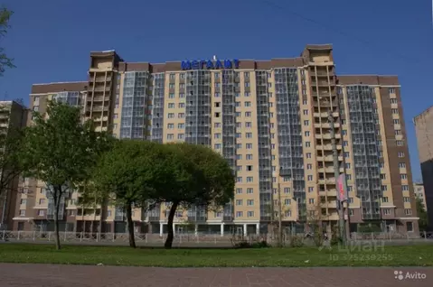 1-к кв. Санкт-Петербург просп. Большевиков, 11к2 (36.0 м)