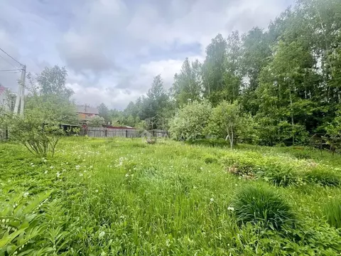 Участок в Московская область, Щелково городской округ, СНТ Литвиново-1 ...
