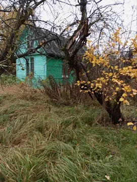 Участок в Московская область, Клин городской округ, Мичуринец садовое ...