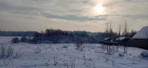 Участок в Московская область, Дмитровский муниципальный округ, д. ...