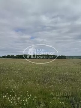Участок в Пермский край, Добрянский городской округ, д. Лунежки  ...