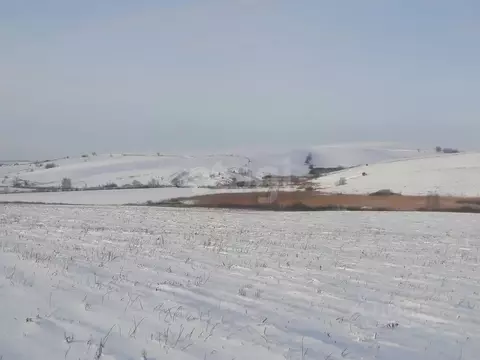 Участок в Алтайский край, Алтайский район, с. Нижнекаменка  (80000.0 ...