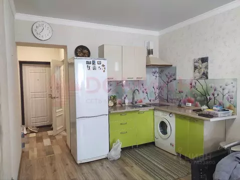 Студия Ростовская область, Волгодонск ул. Карла Маркса, 12 (25.0 м)