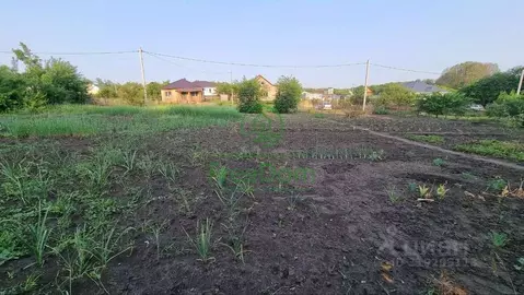 Участок в Белгородская область, Строитель Яковлевский городской округ, ...