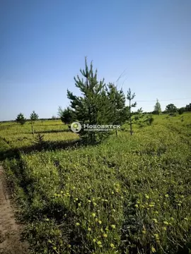 Участок в Кировская область, Кирово-Чепецкий район, Федяковское с/пос, ...