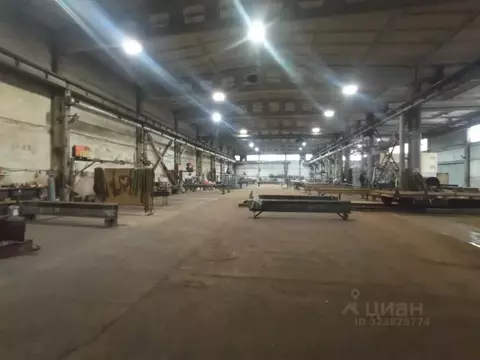 Производственное помещение в Татарстан, Набережные Челны ул. Тимер, 13 ...